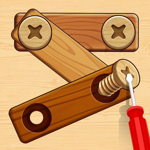 Wood Screw Puzzle